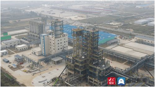 菏澤市領導帶隊三天密集觀摩，11區縣65個重點項目展現發展新動能